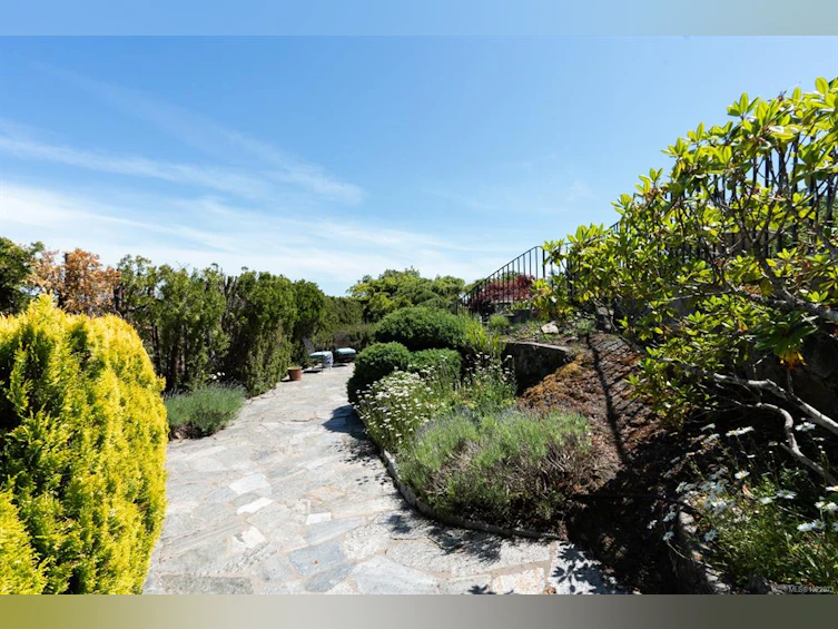305 Denison Road, Oak Bay, BC, V8S 4K2 - 75