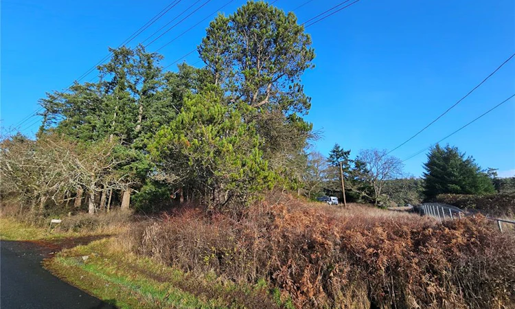 4299 Blenkinsop Road