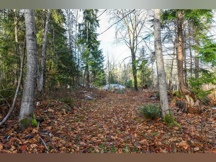 2795 Macaulay Road, Black Creek, BC, V9J 1B9 - 12