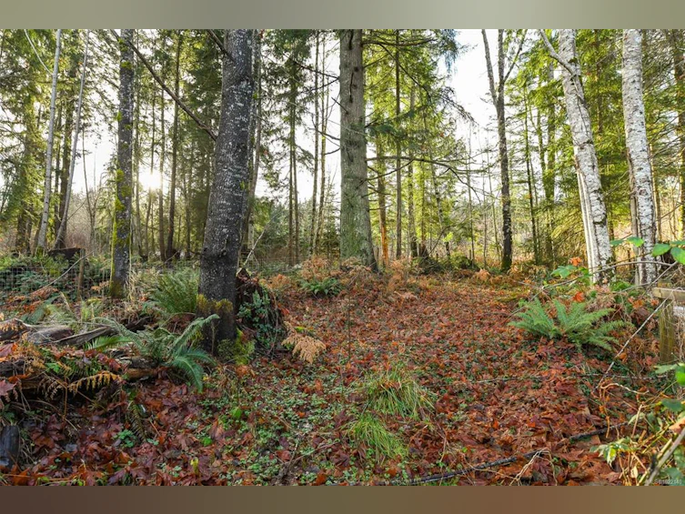 2795 Macaulay Road, Black Creek, BC, V9J 1B9 - 35