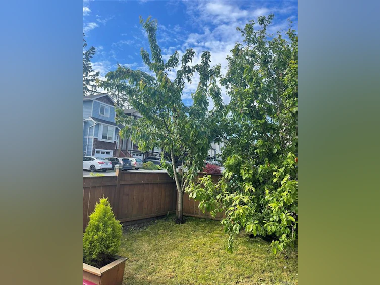 3354 Vision Way, Langford, BC, V9C 0E4 - 49