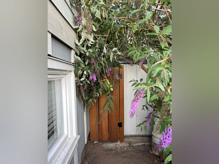 3354 Vision Way, Langford, BC, V9C 0E4 - 53