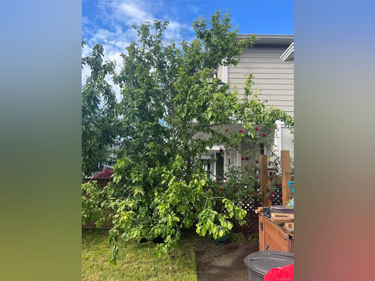 3354 Vision Way, Langford, BC, V9C 0E4 - 48