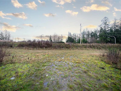 855 Old Victoria Road - 2