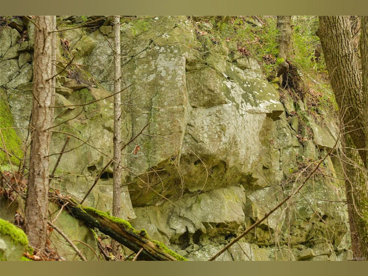 LOT 15 Wood Dale Drive, Mayne Island, BC, V0N 2J2 - 33