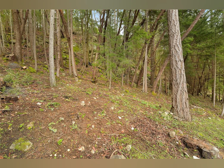 LOT 15 Wood Dale Drive, Mayne Island, BC, V0N 2J2 - 31