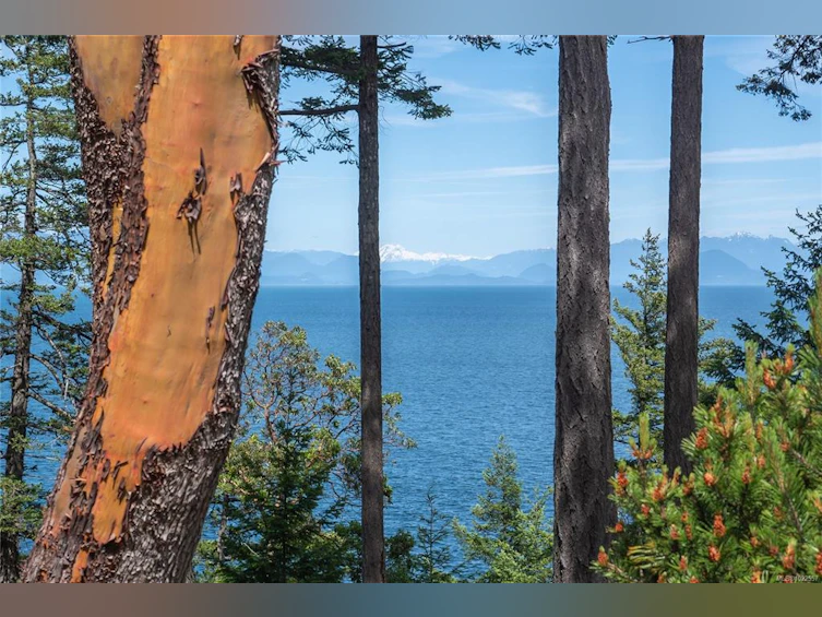 2660 Kevan Drive, Gabriola Island, BC, V0R 1X7 - 8