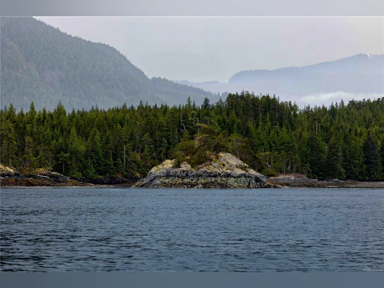 DL1833 Cracroft Island, North Coast Small Islands, BC, V0N 3J0 - 15
