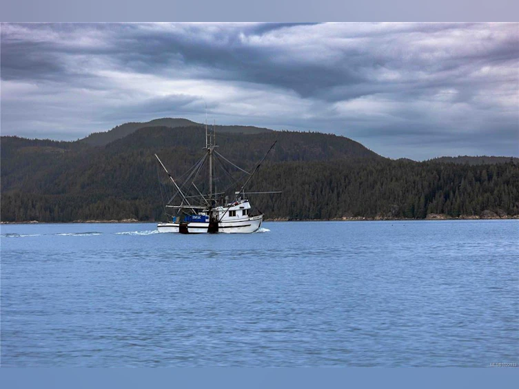DL1833 Cracroft Island, North Coast Small Islands, BC, V0N 3J0 - 14