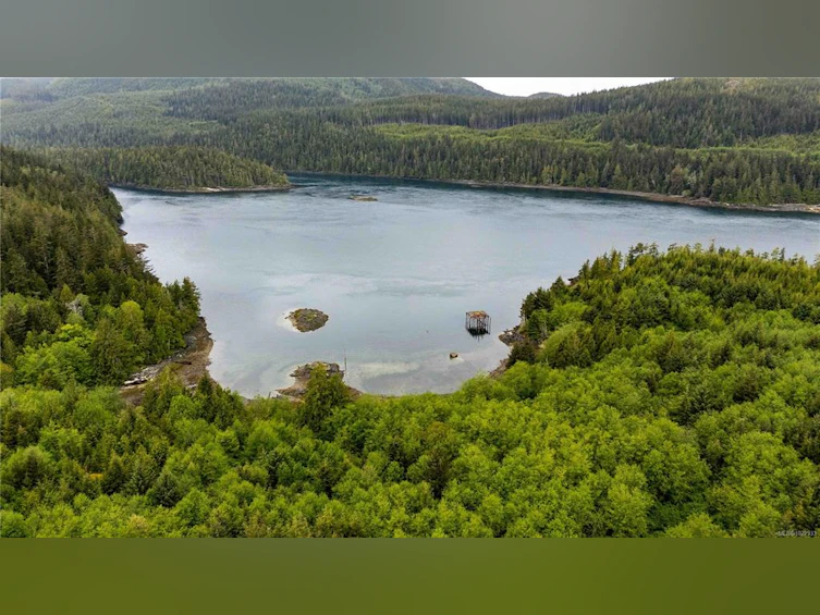 DL1833 Cracroft Island, North Coast Small Islands, BC, V0N 3J0 - 18