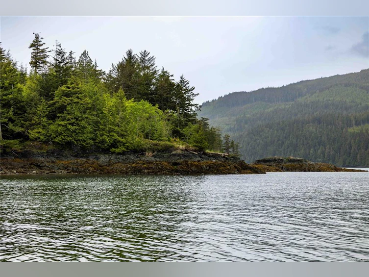 DL1833 Cracroft Island, North Coast Small Islands, BC, V0N 3J0 - 9