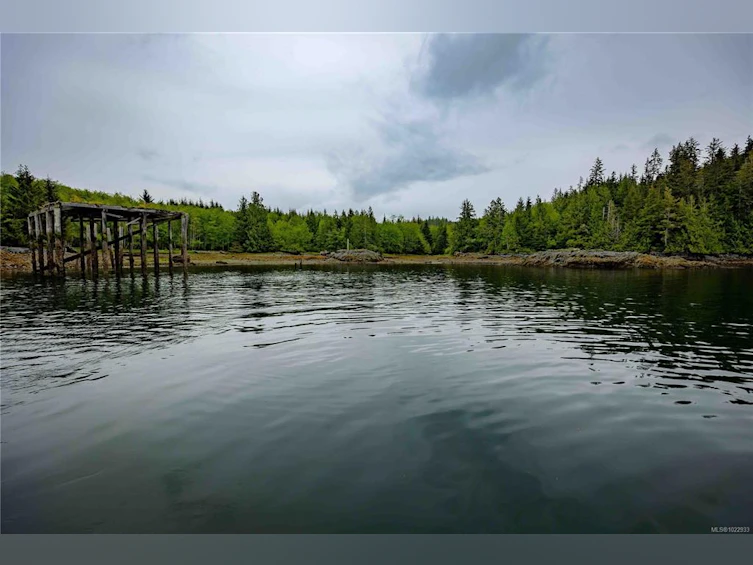 DL1833 Cracroft Island, North Coast Small Islands, BC, V0N 3J0 - 12