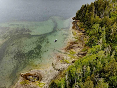 DL1833 Cracroft Island - 5