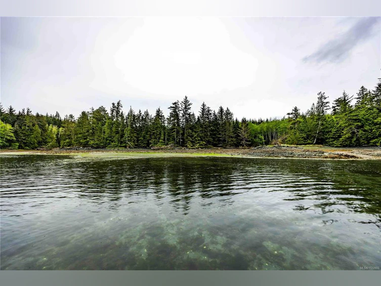 DL1833 Cracroft Island, North Coast Small Islands, BC, V0N 3J0 - 11
