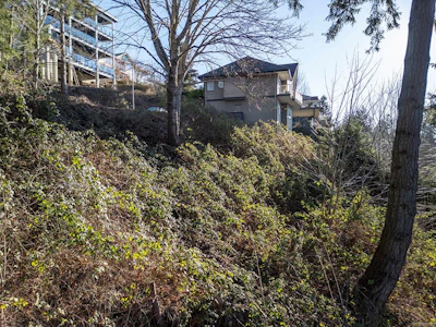 1940 Snowbird Lane - 4