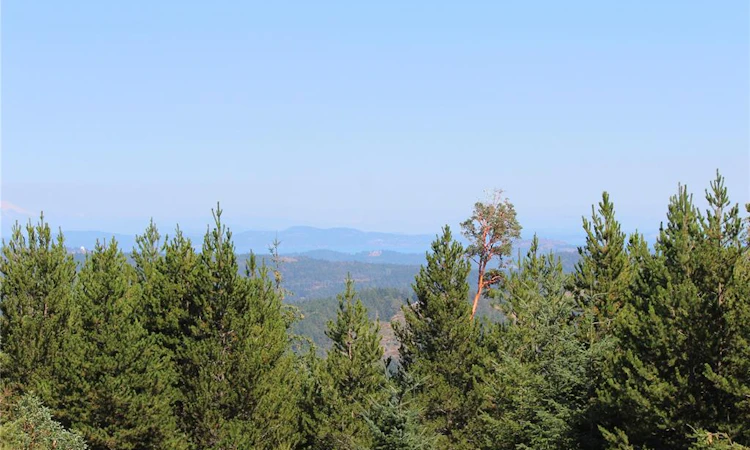 LOT 35 Goldstream Heights Drive