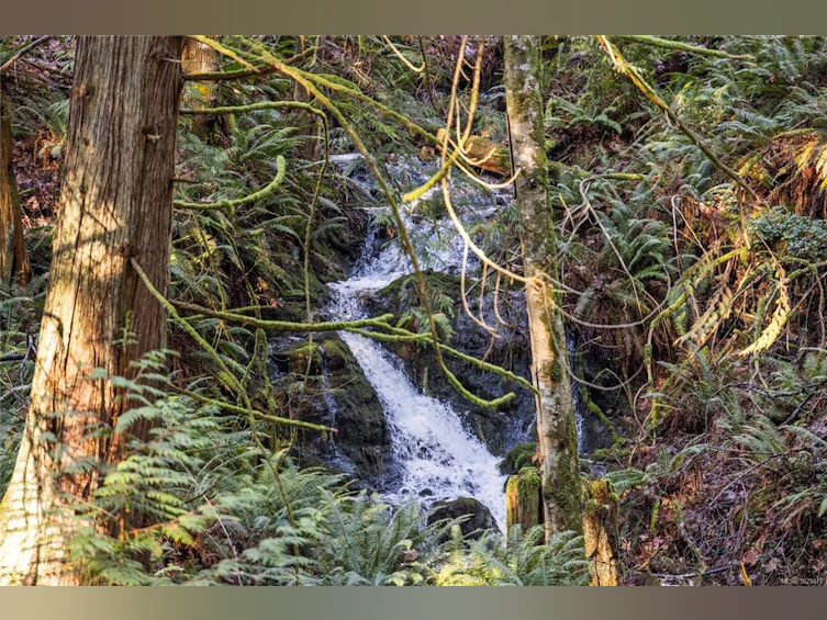 2763 Parker Road, Nanoose, BC, V9P 9K3 - 52