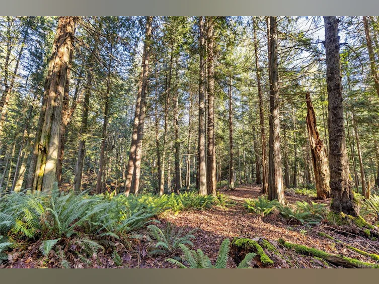 2763 Parker Road, Nanoose, BC, V9P 9K3 - 16