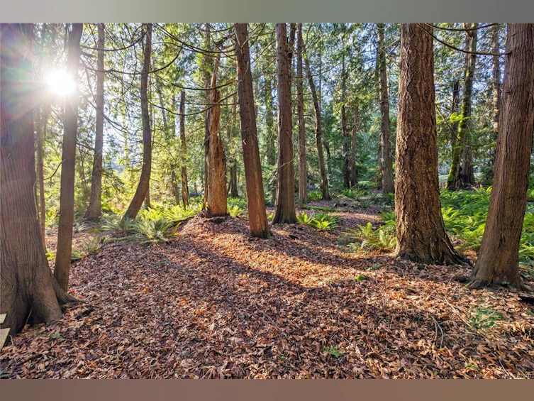 2763 Parker Road, Nanoose, BC, V9P 9K3 - 37