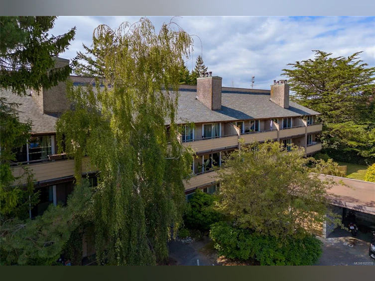 310-3215 Alder Street, Saanich, BC, V8X 1P3 - 3