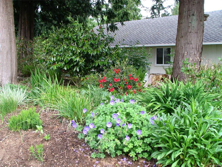 625 Yambury Road, Qualicum Beach, BC, V9K 1C5 - 68