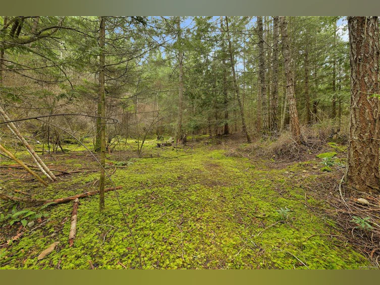 493 Abbott Road, Mayne Island, BC, V0N 2J1 - 62