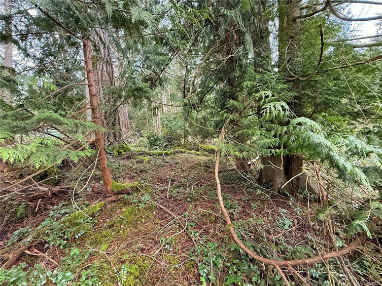 Lt 37 Dirksen Road, Gabriola Island, BC, V0R 1X2 - 5