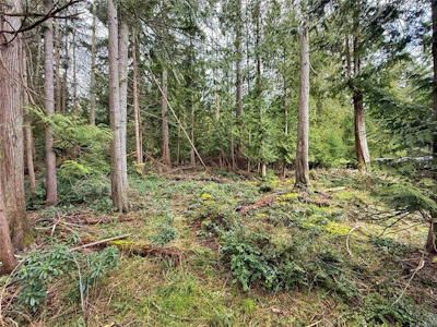 Lt 37 Dirksen Road - 2