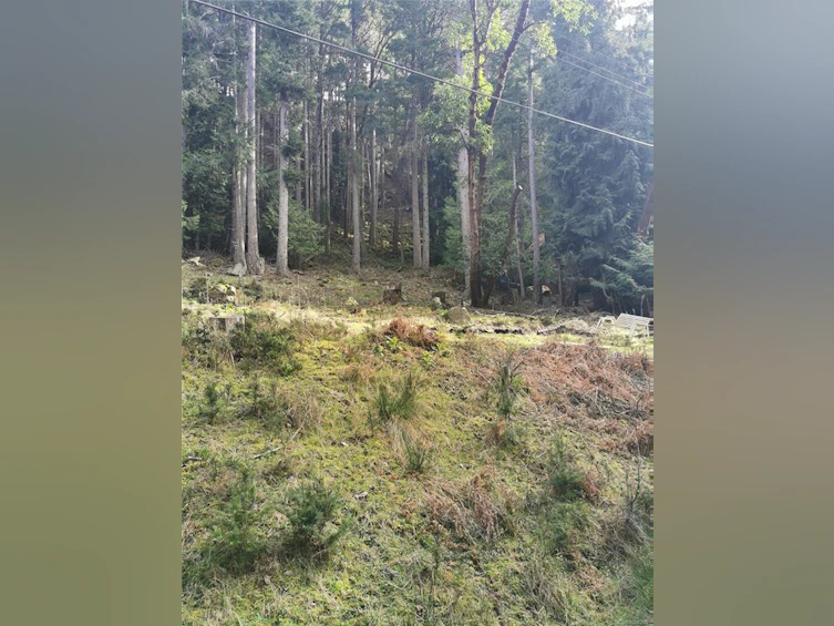 Lot 25 Wood Dale Drive, Mayne Island, BC, V0N 2J2 - 3