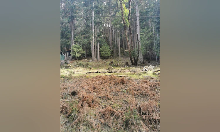 Lot 25 Wood Dale Drive