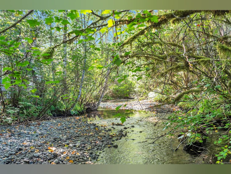 1260 Sayward Road, Kelsey Bay/Sayward, BC, V0P 1R0 - 35