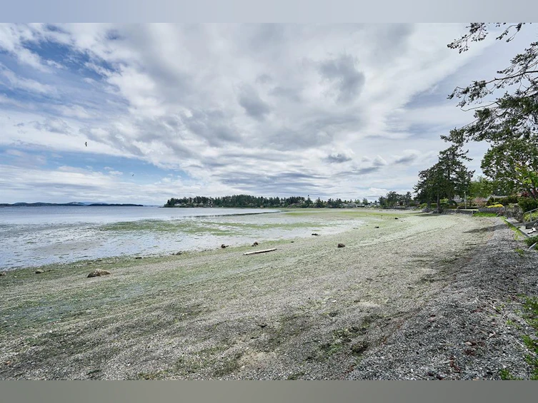 302-10393 Allbay Road, Sidney, BC, V8L 2N8 - 17