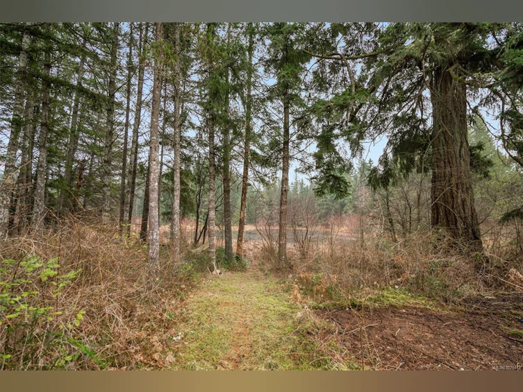 1980 Grafton Avenue, Coombs, BC, V0R 1V0 - 42