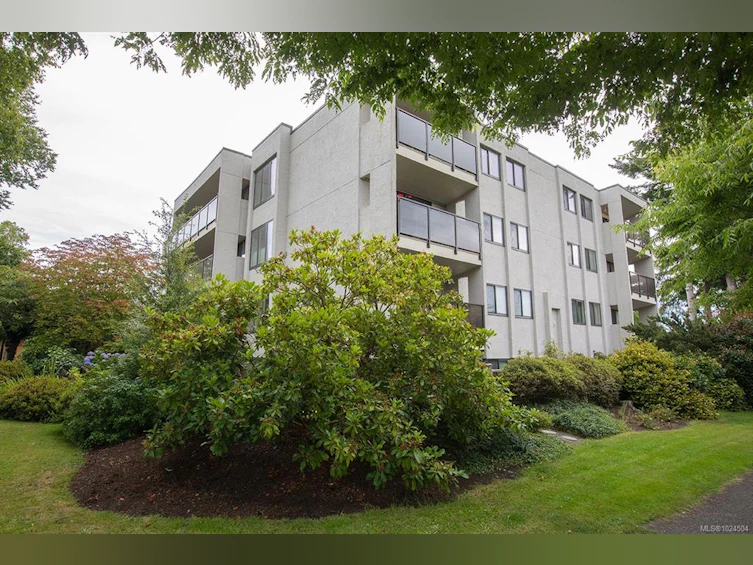 305-1151 Oscar Street, Victoria, BC, V8V 2X5 - 14