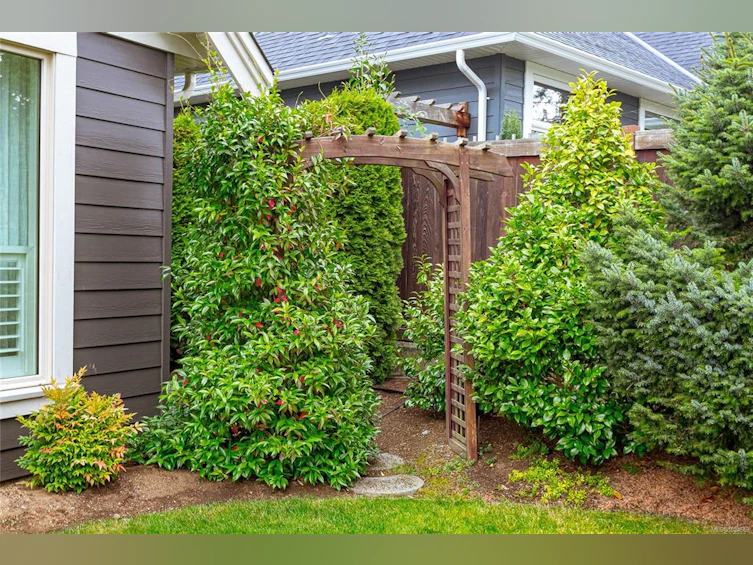 473 Ridgefield Drive, Parksville, BC, V9P 0E2 - 65