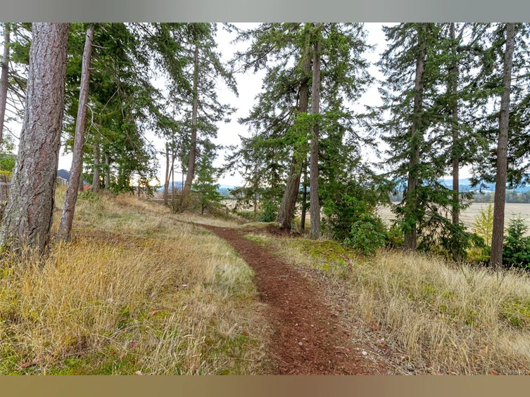 473 Ridgefield Drive, Parksville, BC, V9P 0E2 - 62