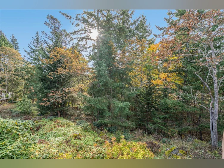 3285 Hobart Place, Fairwinds, BC, V9P 9H6 - 33