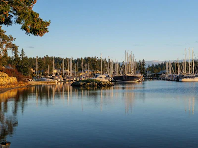 10724 Bayfield Road - 5