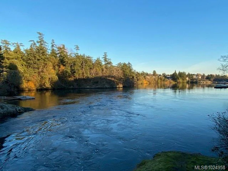 306-1085 Tillicum Road, Esquimalt, BC, V9A 7M3 - 36