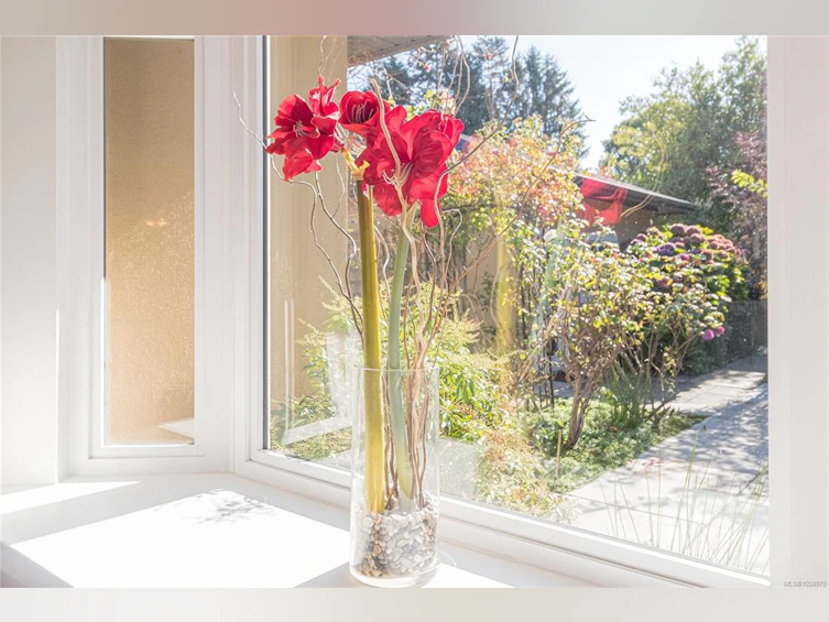 1082 Newport Avenue, Oak Bay, BC, V8S 5E3 - 12