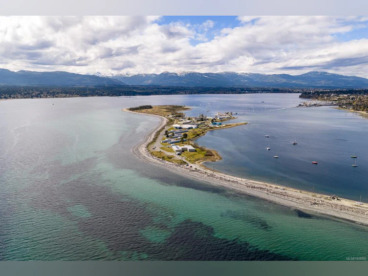 98 Beech Street, Comox, BC, V9M 3W7 - 16
