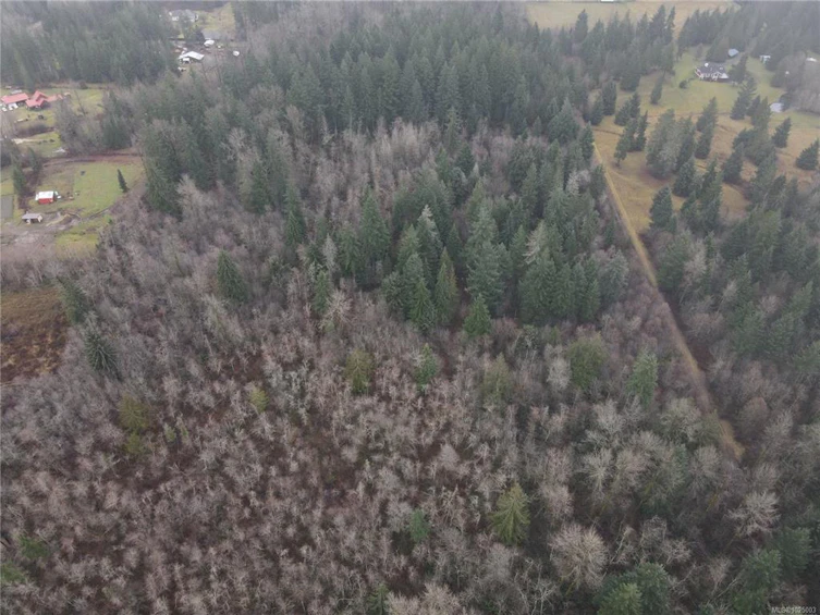 Lot 2 Doyle Road, Black Creek, BC, V6C 3A6 - 9
