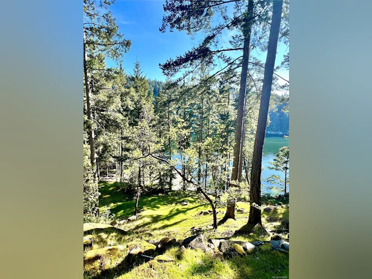 231 Halibut Hill Road, Mudge Island, BC, V0R 1X6 - 55