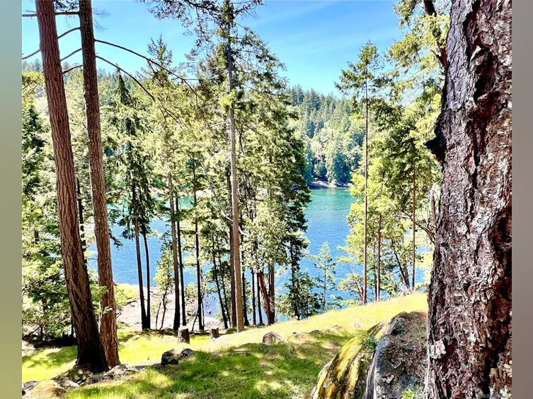 231 Halibut Hill Road, Mudge Island, BC, V0R 1X6 - 5