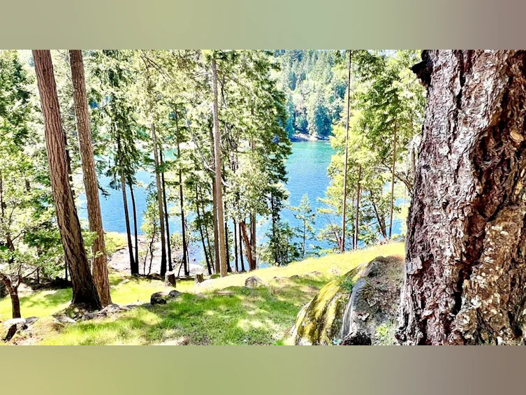 231 Halibut Hill Road, Mudge Island, BC, V0R 1X6 - 84
