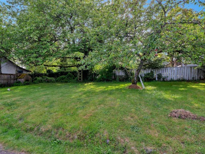 311 Holly Avenue - 3