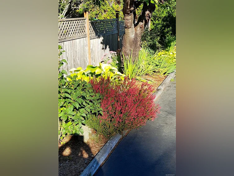 4054 Discovery Drive, Campbell River, BC, V9W 4X7 - 76