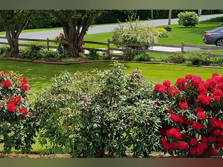 4054 Discovery Drive, Campbell River, BC, V9W 4X7 - 77