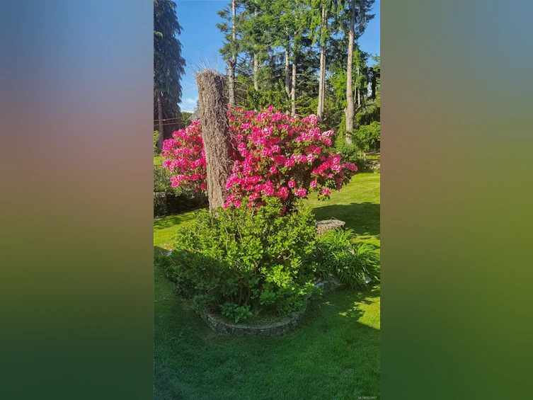 4054 Discovery Drive, Campbell River, BC, V9W 4X7 - 75