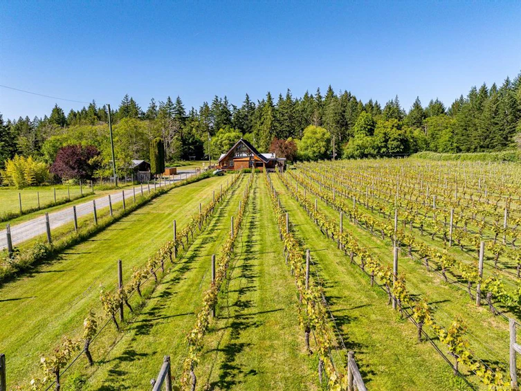 1885 Central Road, Hornby Island, BC, V0R 1Z0 - 41
